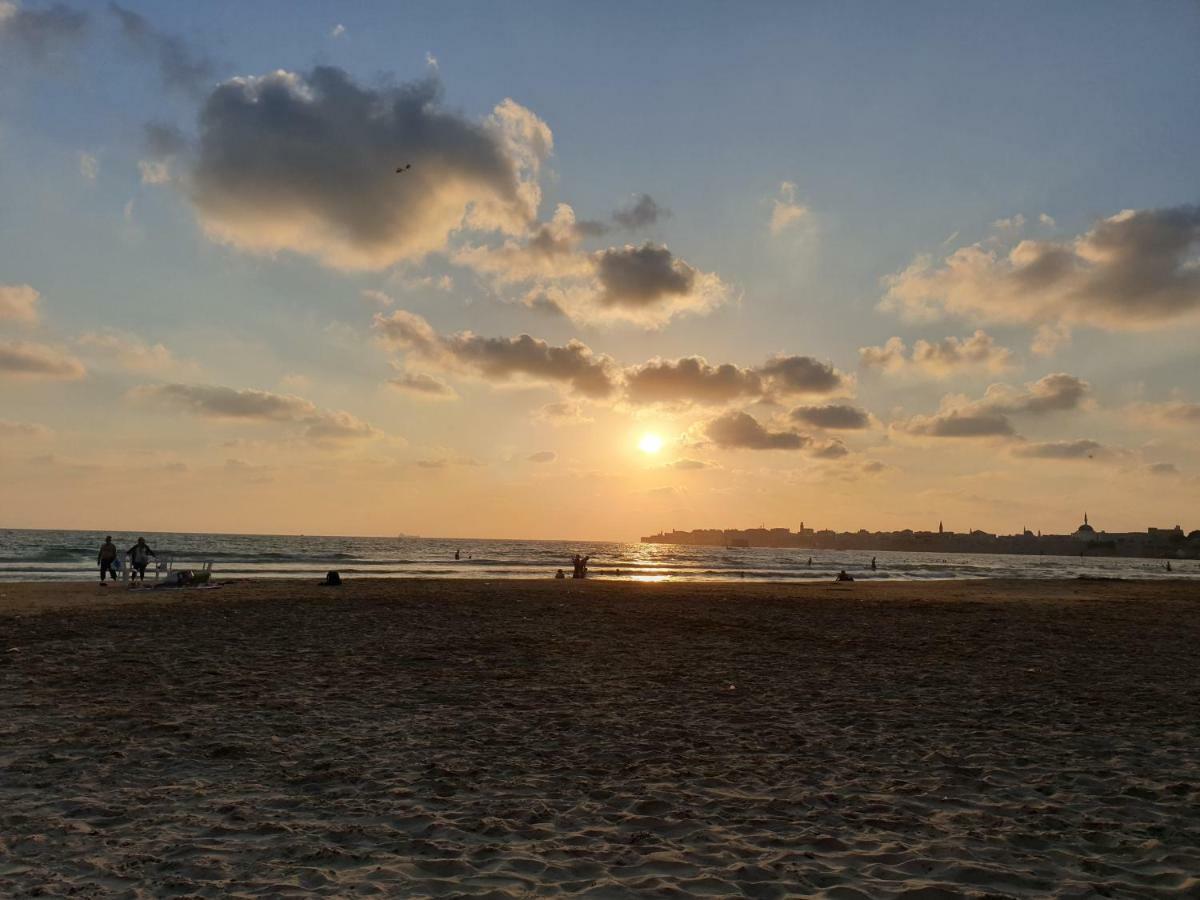 Beachfront Gallery 아코 객실 사진