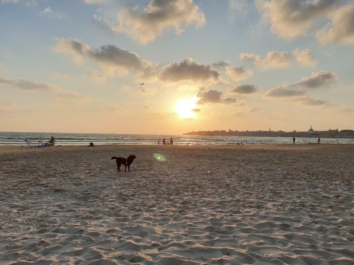 Beachfront Gallery 아코 외부 사진